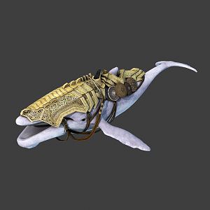 modern whale giant whale 3d model