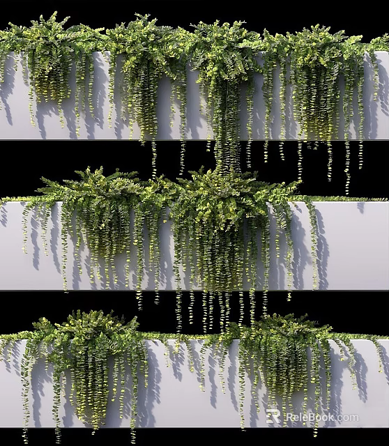 Lush Green Hanging Vines With Trailing Leaves On Layered White Wall Structure 3d model 