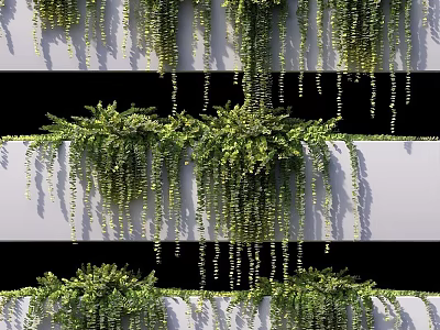 Lush Green Hanging Vines With Trailing Leaves On Layered White Wall Structure 3d model