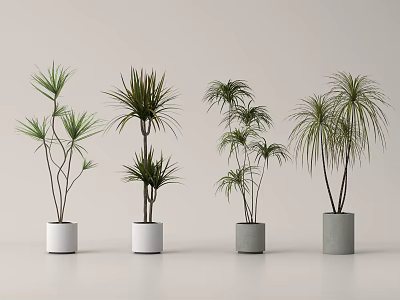 Bonsai Potted Plants With Various Slender Leaves In White Gray Cylindrical Pots For Minimalist Decor 3d model