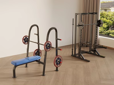 Home Gym Sports Equipment With Bench Press Barbell And Squat Rack 3d model