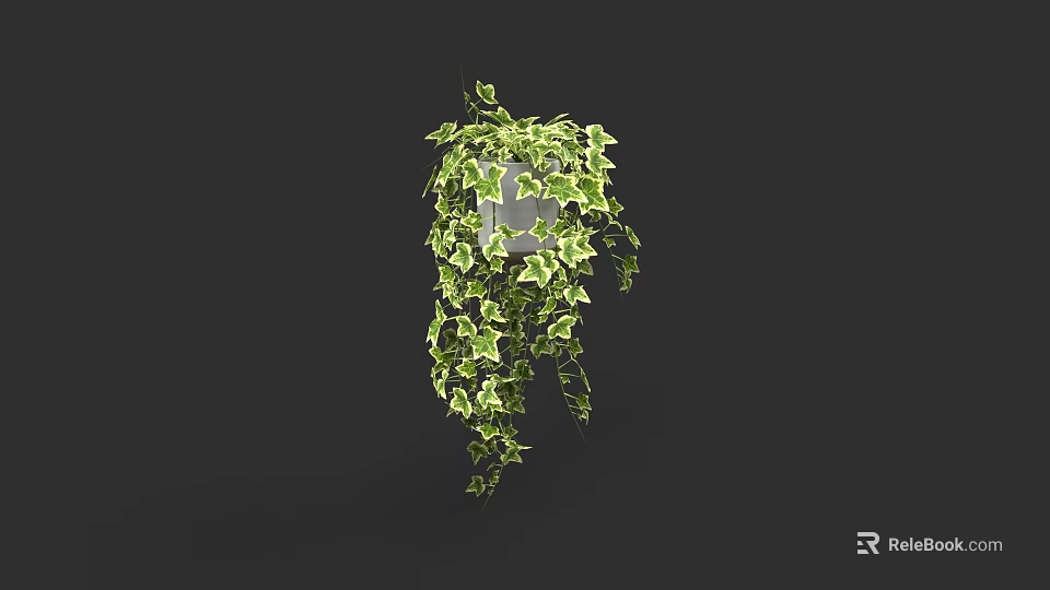 Lush Green Plant Wall With Hanging Ivy Vines And Vibrant Foliage 3d model 
