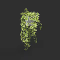 Lush Green Plant Wall With Hanging Ivy Vines And Vibrant Foliage