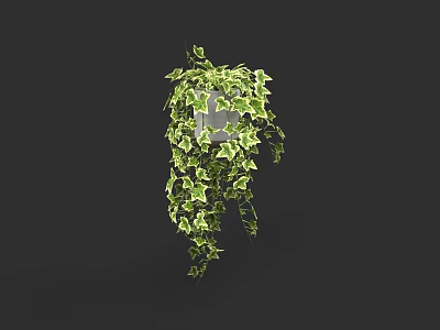 Lush Green Plant Wall With Hanging Ivy Vines And Vibrant Foliage 3d model