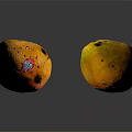 Fresh Ripe Mangoes With Spotted Yellow Skin And Sticker On Black Background With Reflections