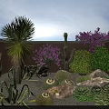 Lush Garden Landscape Featuring Cactus Purple Flowers Stones And Various Plants