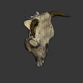 Vintage Bull Skull with Natural Horns as Decorative Wall Art Piece