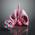 Advanced 3D Medical Device For Lung Anatomy Visualization And Drug Delivery