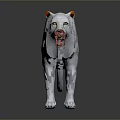 White Lion With Open Mouth And Orange Ears Standing On Dark Background With Reflection