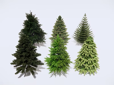 Various Evergreen Arbor Species With Dark And Light Green Foliage On White Background 3d model
