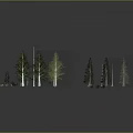 Various Green Plants and Trees Collection with Natural Stones