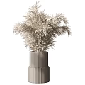 Modern Garden Ornaments Featuring Dried Pampas Grass In Tall And Short Ribbed Vases