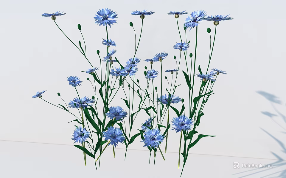 Beautiful Blue Cornflowers With Green Stems And Fresh Lush Leaves 3d model 