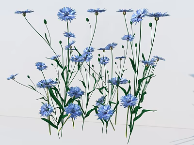 Beautiful Blue Cornflowers With Green Stems And Fresh Lush Leaves 3d model
