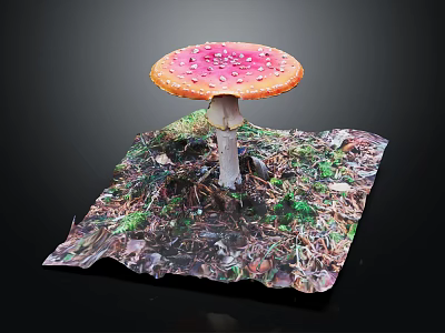 Pink Spotted Mushroom with White Stem on Green Moss Dry Leaves Square Mat Black Background 3d model