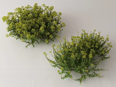 Lush Green Flowering Bushes With Small Yellow Blooms And Dense Foliage 3d model