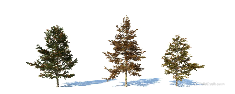 Three Different Foliage Trees With Green And Brown Leaves On White Background 3d model 