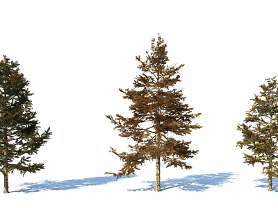 Three Different Foliage Trees With Green And Brown Leaves On White Background 3d model