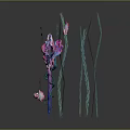Colorful Marine Creature With Pink Fan Body Spiral Tentacles Green Seaweed And Small Fish