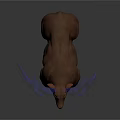 Brown Deer With Large White Antlers Standing On Dark Background