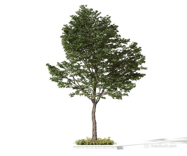Lush Green Arbor With Full Foliage Strong Trunk And Grass At Base In Garden 3d model 