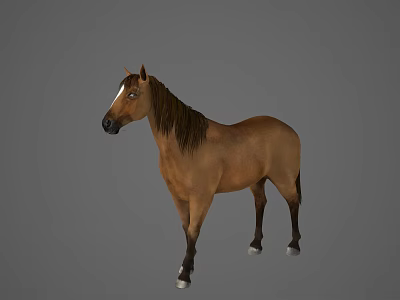 Brown Horse With Long Mane And White Forehead Marking On Gray Background 3d model
