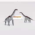 Two Sauropod Dinosaurs With Long Necks Gray Red Patterns On White Background