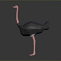 Stylized Low Poly Ostrich 3D Character Model With Black Body Pink Neck And Legs