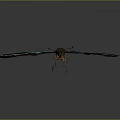 Vibrant Dark Winged Butterfly With Turquoise Green Spots On Gray Background