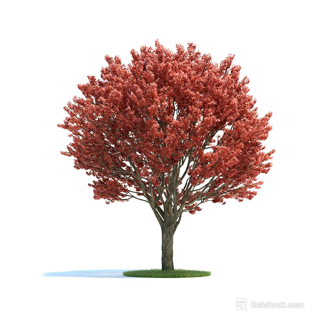 Vibrant Red Leaf Arbor With Strong Trunk And Green Grass Base 3d model
