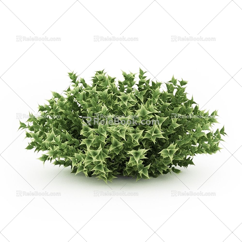 ivy landscape shrub outdoor plant 3d model