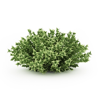 ivy landscape shrub outdoor plant 3d model