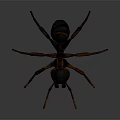 3D Model Black and Red Ant with Detailed Legs and Antennae on Gray Background