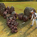 Man Splitting Firewood Near Large Wood Piles On Green Grassland