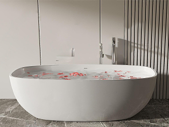 Modern Bathtub 3d model