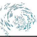 Light Blue Fish School Swirling Pattern Creative Photo Check in Spot 3d model