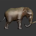 Realistic Brown Elephant With Large Ears And Long Ivory Tusks Standing
