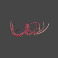 Pink Octopus Game Character With Yellow Eyes Green Edge Tentacles And Gears Anchor