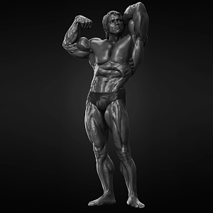 Modern Man Schwarzenegger Muscle Man Fitness 3d model