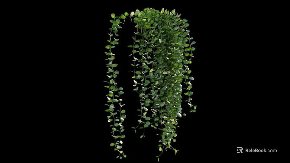Lush Hanging Green Vines With Small Leaves For Home Wall Decoration Ideas 3d model 