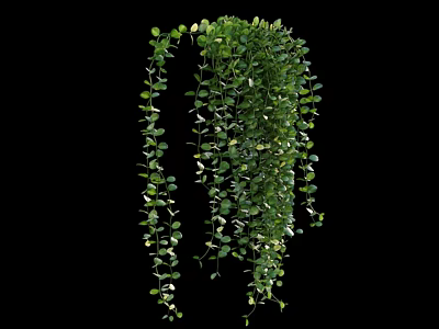 Lush Hanging Green Vines With Small Leaves For Home Wall Decoration Ideas 3d model