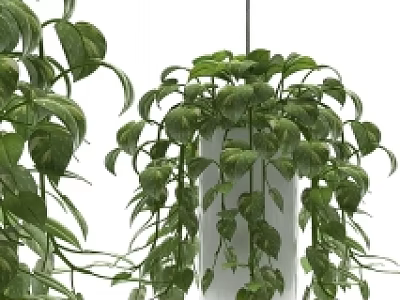 Lush Hanging Basket Plants With Trailing Green Vines And White Planter 3d model