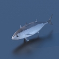 fish freshwater fish aquatic animal 3d model