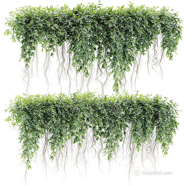 Hanging Potted Plants With Green Trailing Vines And Lush Foliage For Indoor Decoration 3d model 