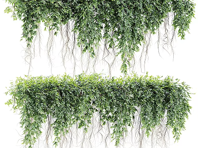 Hanging Potted Plants With Green Trailing Vines And Lush Foliage For Indoor Decoration 3d model