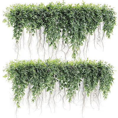 Hanging Potted Plants With Green Trailing Vines And Lush Foliage For Indoor Decoration 3d model