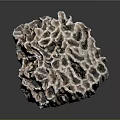 Detailed Natural Porous Structure With Intricate Holes And Brown Textured Surface