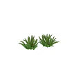 Lush Green Aquatic Plants With Long Feathery Leaves And Dense Growth