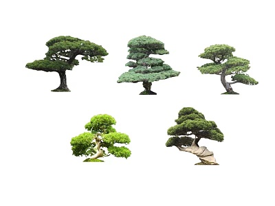 Decorative Trees With Various Shapes And Artistic Styles For Landscaping 3d model
