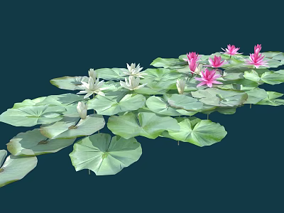 Pink and White Water Lilies Blooming on Green Lily Pads Over Calm Water Surface 3d model